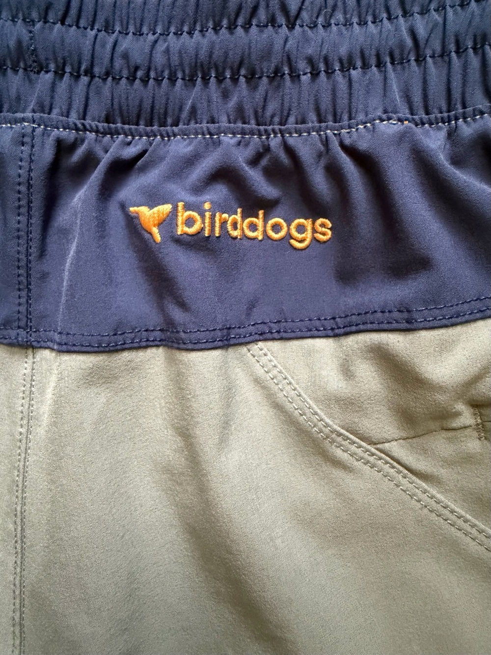 Birddogs Gym Shorts 6” Short - Picture 3 of 4